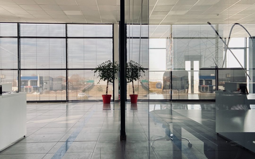 The compelling investment case of Sabvest