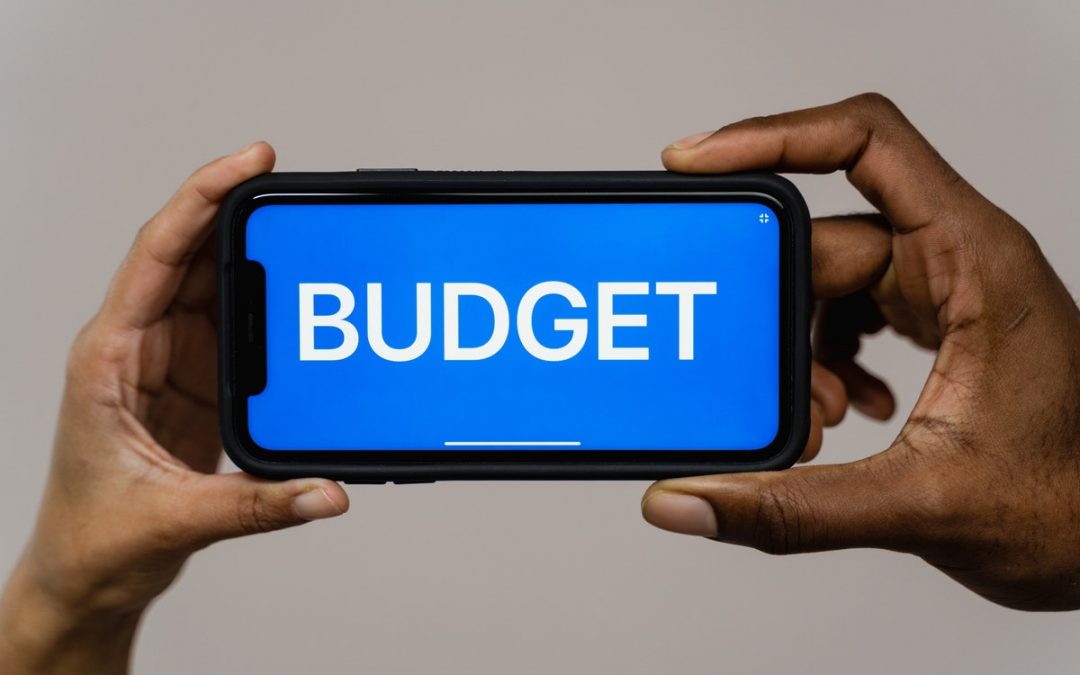 Medium Term Budget