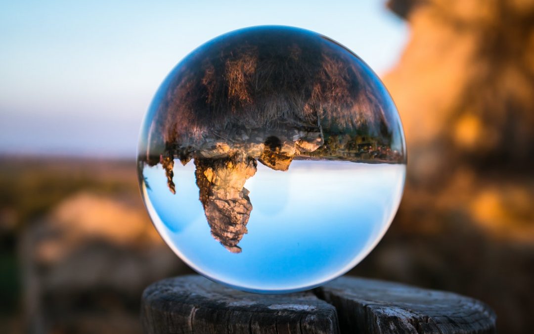 Seeking sanity in an upside-down world