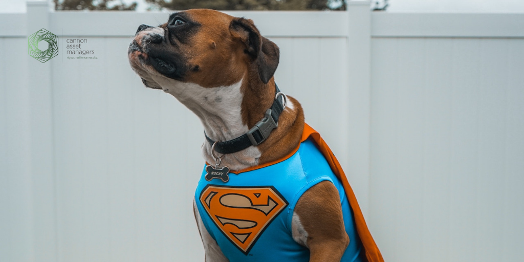 Investments – It’s all going to the dogs